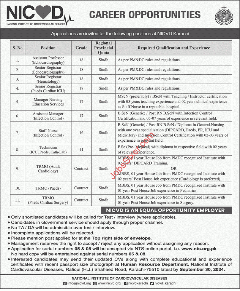 NICVD Jobs 2024 