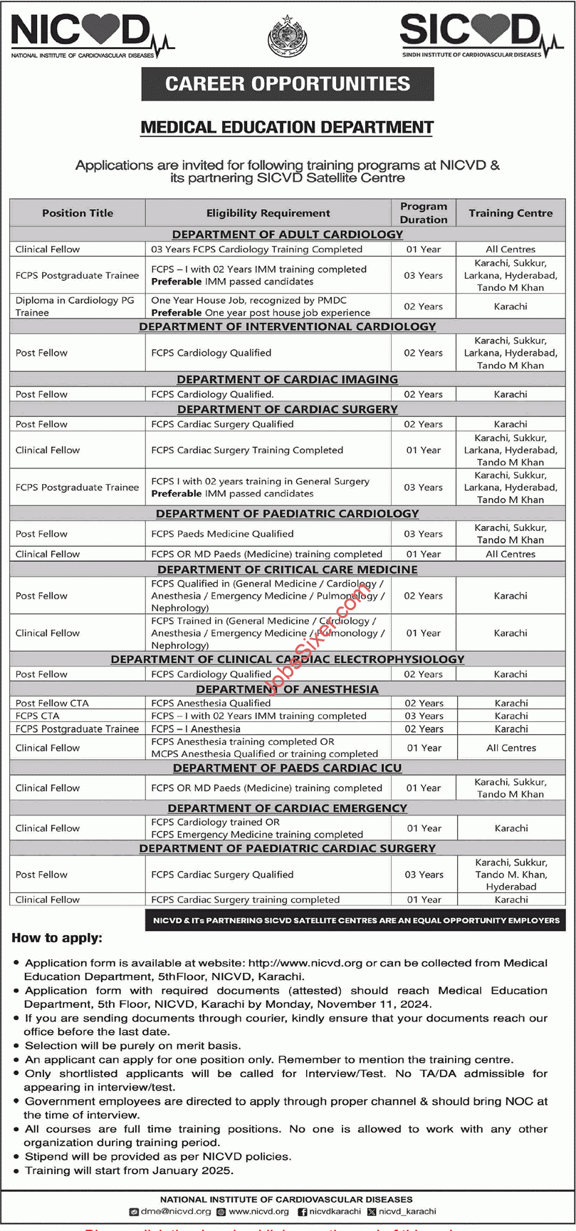 NICVD Jobs 2024